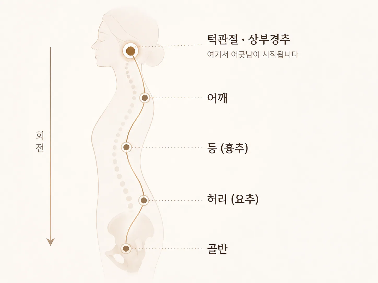 측면에서 본 인체 척추 정렬 도식 — 턱관절·상부경추의 틀어짐이 어깨, 등(흉추), 허리(요추), 골반으로 순차적으로 전달되는 모습